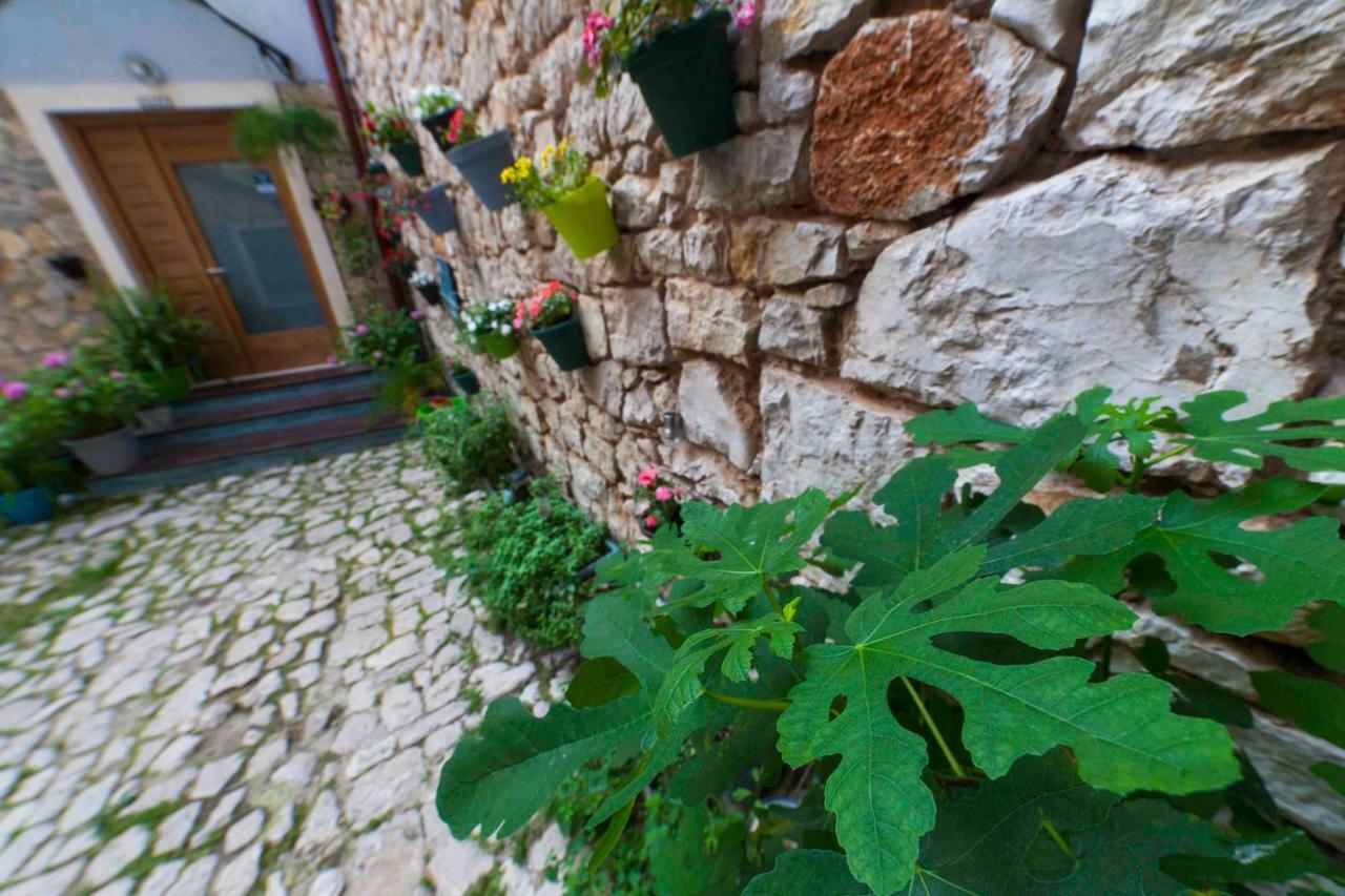 Hostel Mare Šibenik Extérieur photo